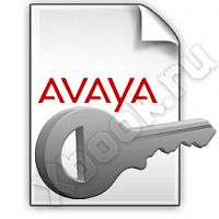 AVAYA 229447