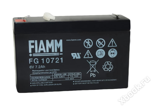 FIAMM FG10721 вид спереди