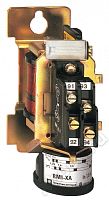 Schneider Electric RM1XA315