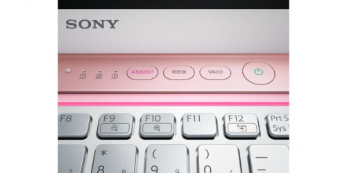 Sony VAIO VPC-CA3S1R эксклюзивный дизайн Девушка и цветы вид боковой панели